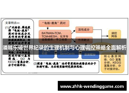 潘展乐破世界纪录的生理机制与心理调控策略全面解析