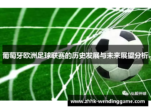 葡萄牙欧洲足球联赛的历史发展与未来展望分析